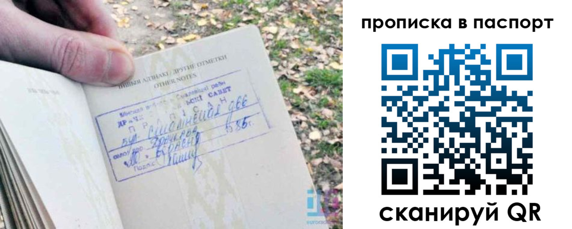 купить прописку в Малоярославце